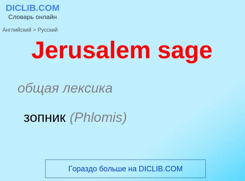 What is the Russian for Jerusalem sage? Translation of &#39Jerusalem sage&#39 to Russian