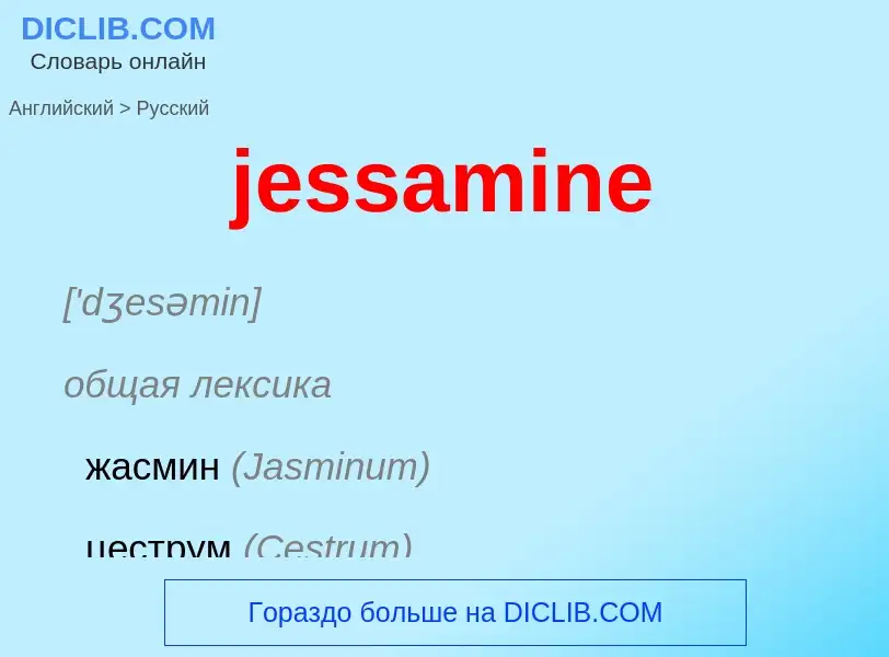 Μετάφραση του &#39jessamine&#39 σε Ρωσικά