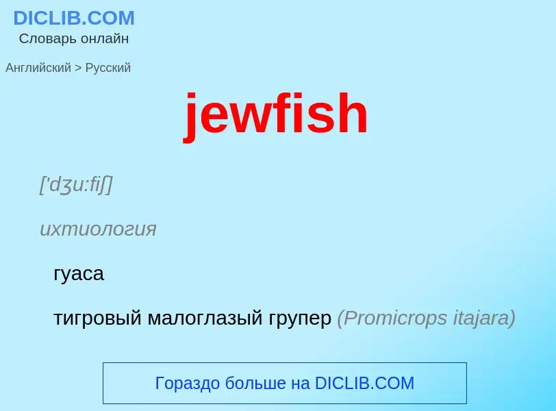 ¿Cómo se dice jewfish en Ruso? Traducción de &#39jewfish&#39 al Ruso