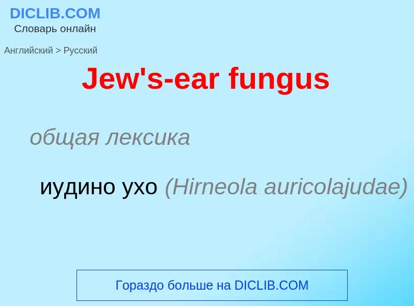 Μετάφραση του &#39Jew's-ear fungus&#39 σε Ρωσικά