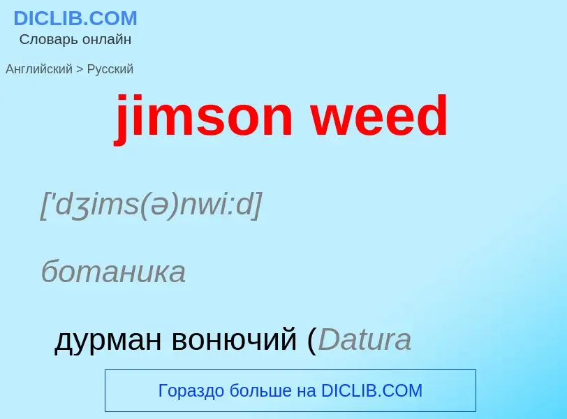 Μετάφραση του &#39jimson weed&#39 σε Ρωσικά