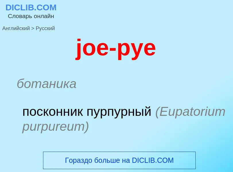 ¿Cómo se dice joe-pye en Ruso? Traducción de &#39joe-pye&#39 al Ruso