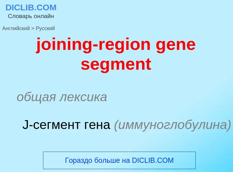 ¿Cómo se dice joining-region gene segment en Ruso? Traducción de &#39joining-region gene segment&#39