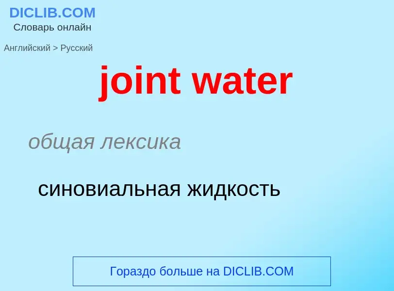 Como se diz joint water em Russo? Tradução de &#39joint water&#39 em Russo