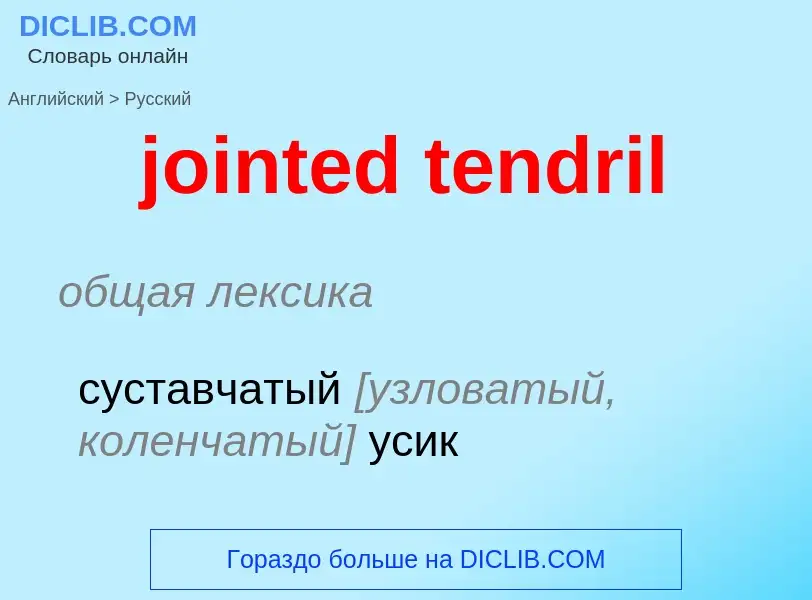 Как переводится jointed tendril на Русский язык