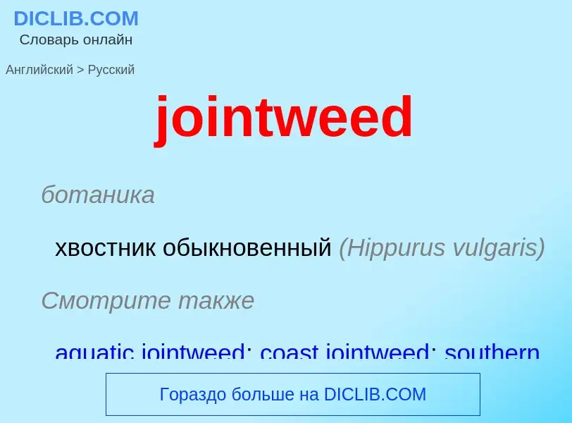 Como se diz jointweed em Russo? Tradução de &#39jointweed&#39 em Russo