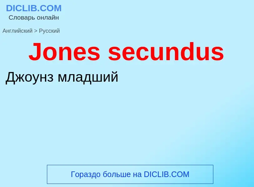 Как переводится Jones secundus на Русский язык