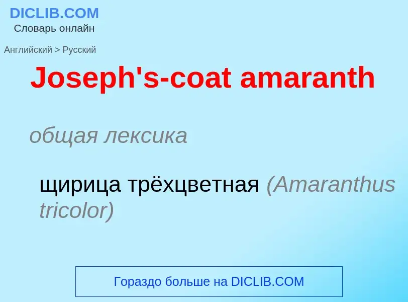 What is the الروسية for Joseph's-coat amaranth? Translation of &#39Joseph's-coat amaranth&#39 to الر