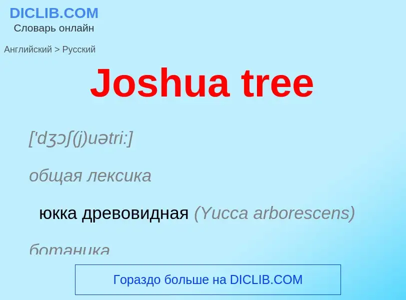 Как переводится Joshua tree на Русский язык