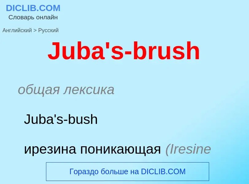 Как переводится Juba's-brush на Русский язык