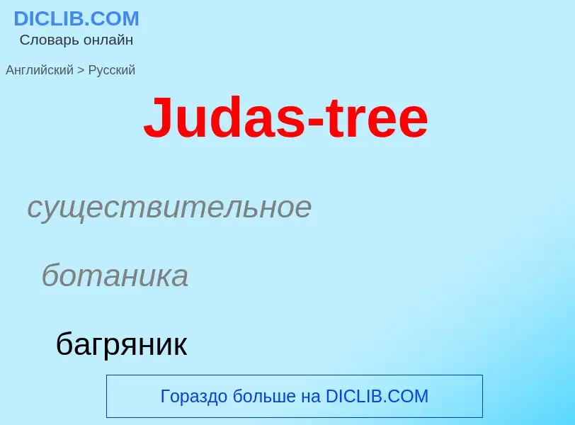 Как переводится Judas-tree на Русский язык