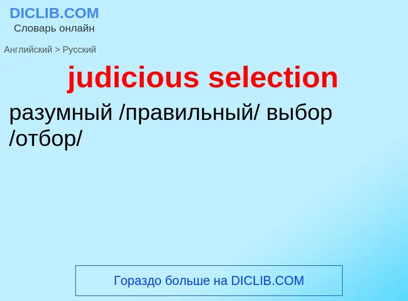 Como se diz judicious selection em Russo? Tradução de &#39judicious selection&#39 em Russo