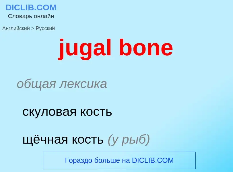 Как переводится jugal bone на Русский язык