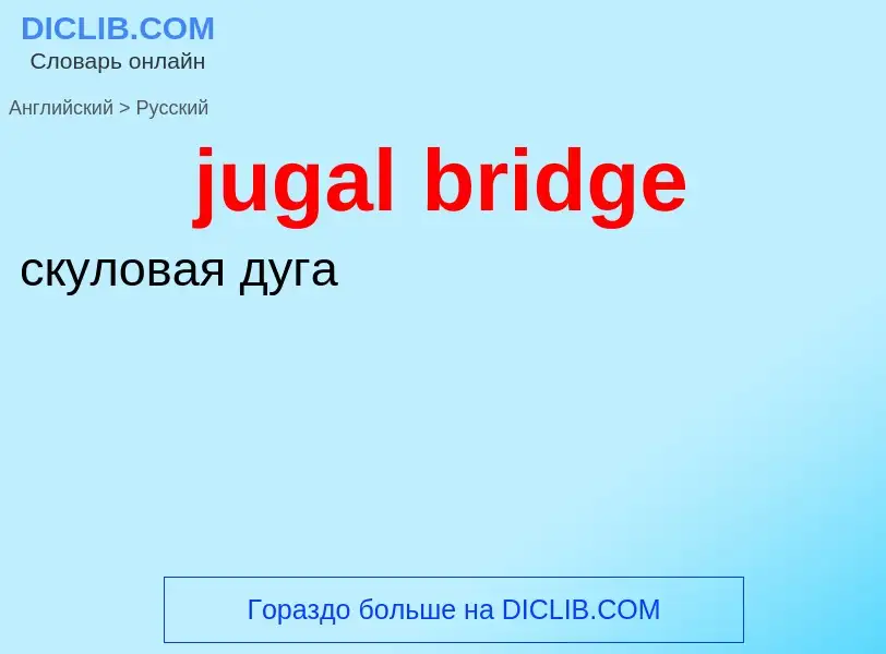 Как переводится jugal bridge на Русский язык