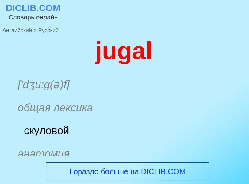 Как переводится jugal на Русский язык