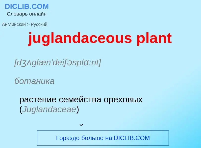 Μετάφραση του &#39juglandaceous plant&#39 σε Ρωσικά