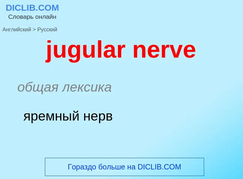 Как переводится jugular nerve на Русский язык