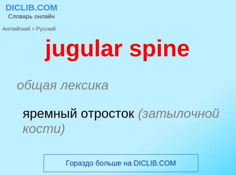 Μετάφραση του &#39jugular spine&#39 σε Ρωσικά