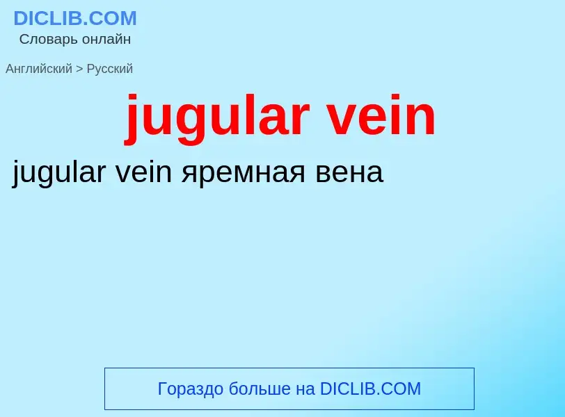 Как переводится jugular vein на Русский язык