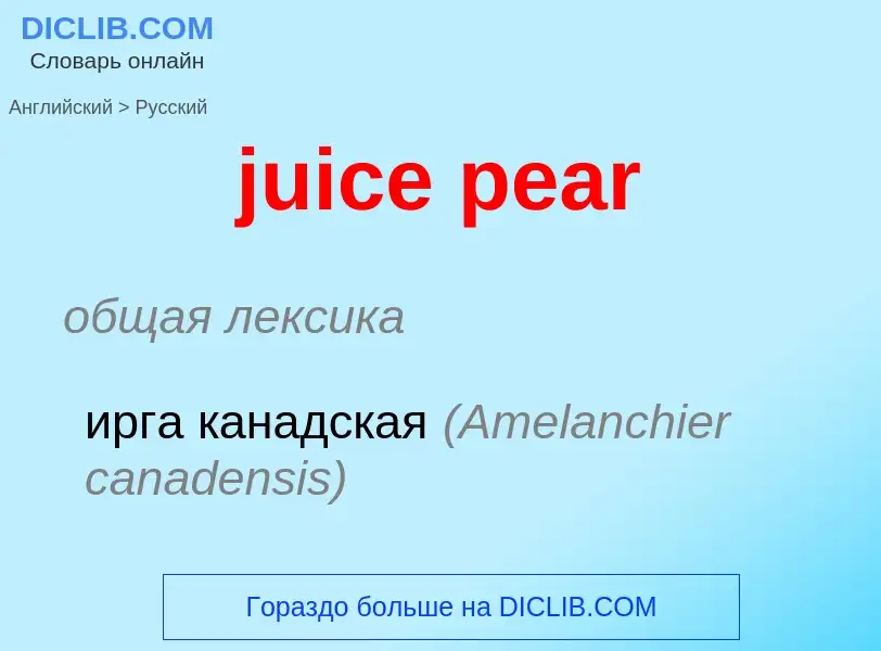 Как переводится juice pear на Русский язык