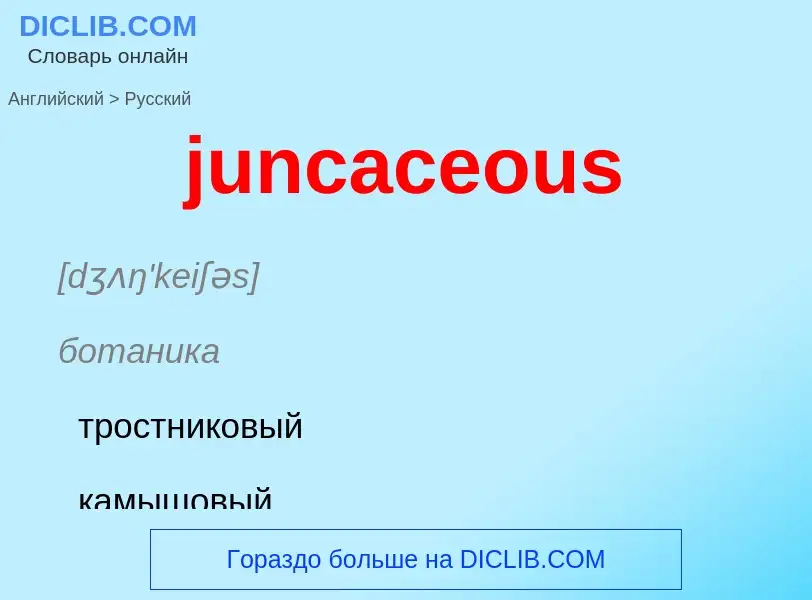 Как переводится juncaceous на Русский язык