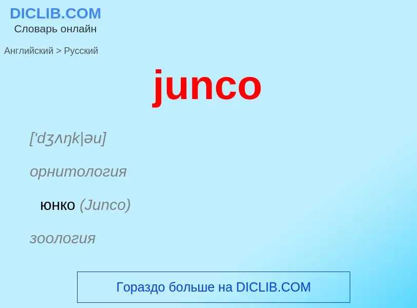 Как переводится junco на Русский язык