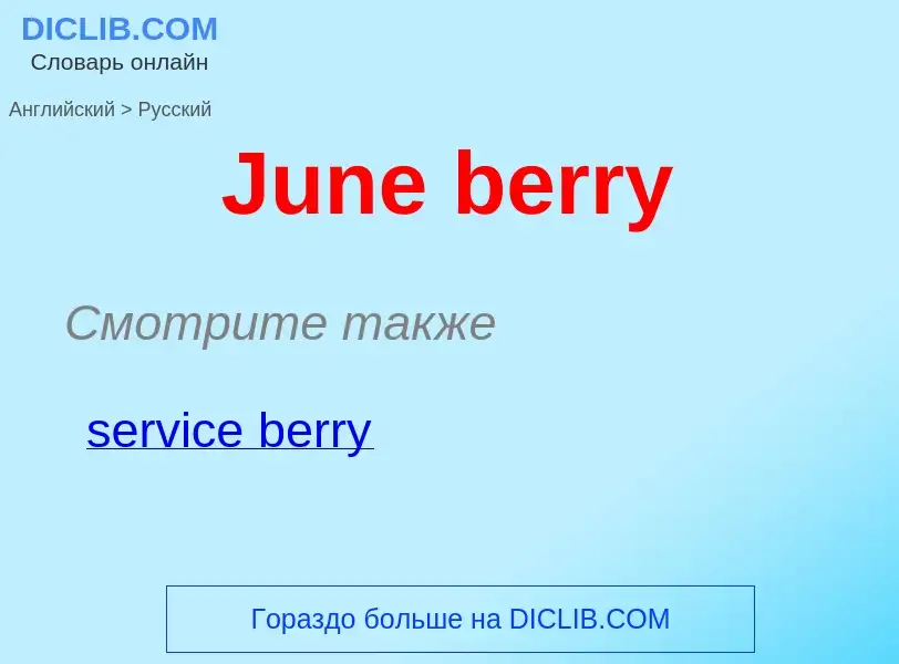 ¿Cómo se dice June berry en Ruso? Traducción de &#39June berry&#39 al Ruso