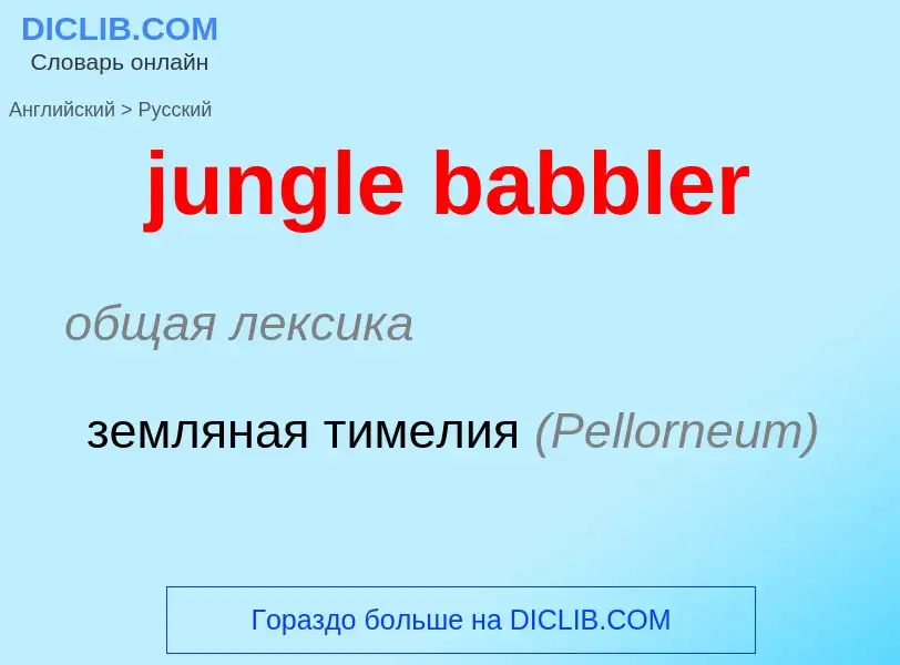 Μετάφραση του &#39jungle babbler&#39 σε Ρωσικά