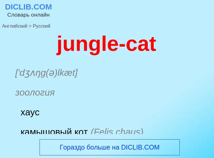 What is the Russian for jungle-cat? Translation of &#39jungle-cat&#39 to Russian