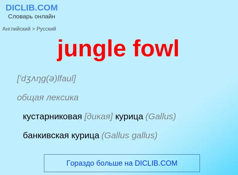 Μετάφραση του &#39jungle fowl&#39 σε Ρωσικά