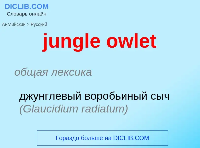 Μετάφραση του &#39jungle owlet&#39 σε Ρωσικά