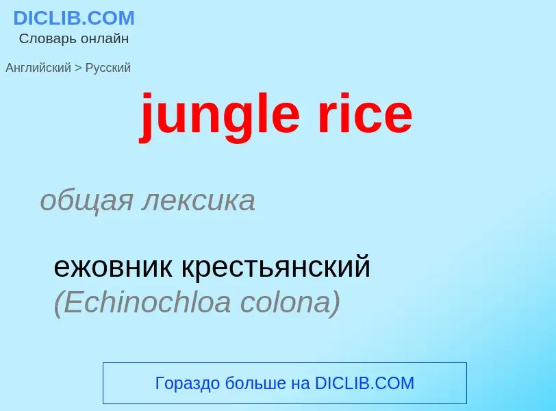 Как переводится jungle rice на Русский язык