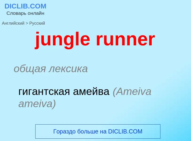 Μετάφραση του &#39jungle runner&#39 σε Ρωσικά