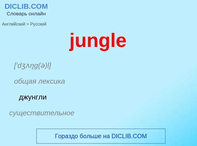 Как переводится jungle на Русский язык