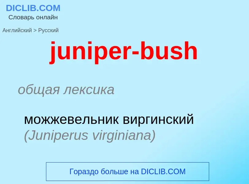 Μετάφραση του &#39juniper-bush&#39 σε Ρωσικά