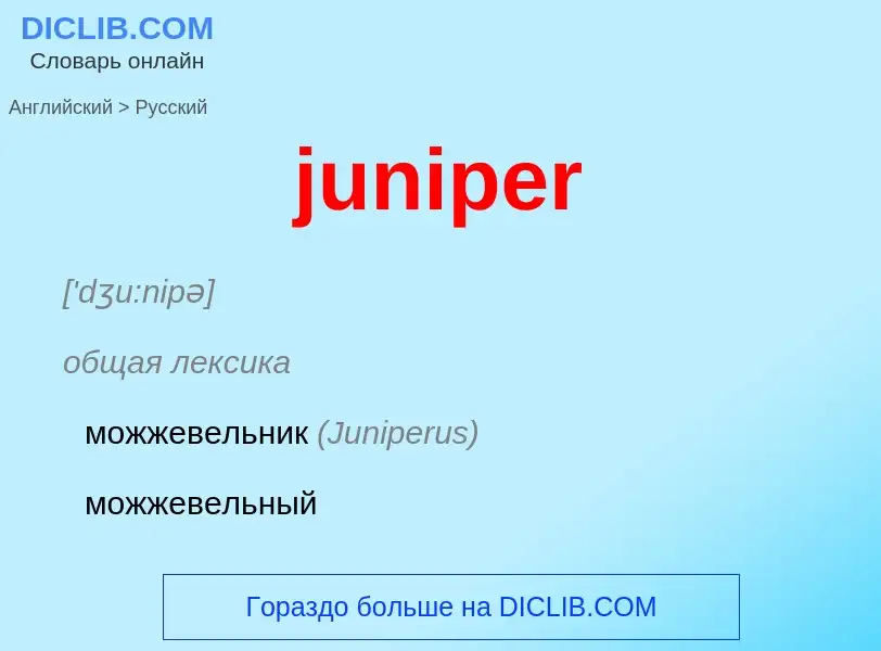 What is the Russian for juniper? Translation of &#39juniper&#39 to Russian