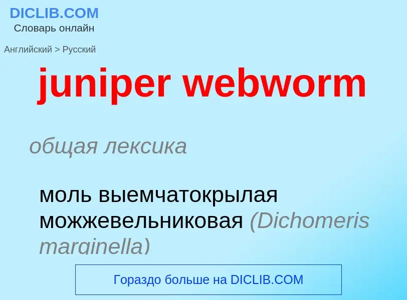 What is the Russian for juniper webworm? Translation of &#39juniper webworm&#39 to Russian