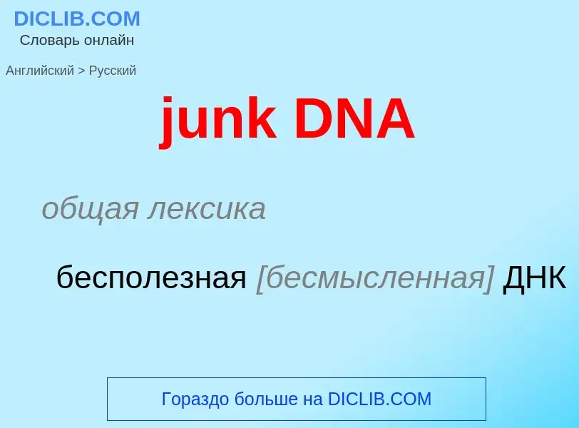 Vertaling van &#39junk DNA&#39 naar Russisch