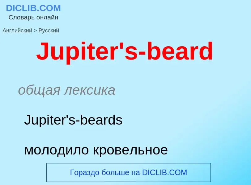 What is the الروسية for Jupiter's-beard? Translation of &#39Jupiter's-beard&#39 to الروسية