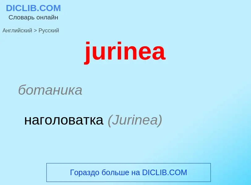 Como se diz jurinea em Russo? Tradução de &#39jurinea&#39 em Russo