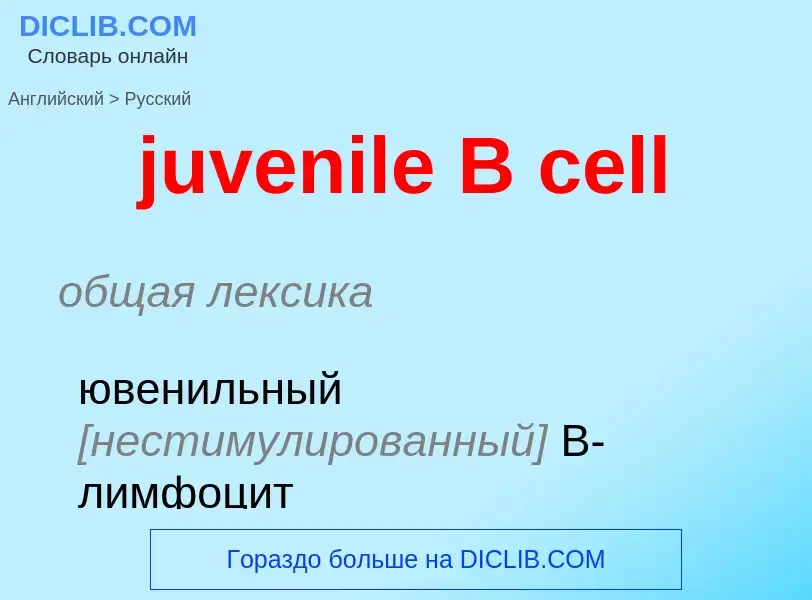 Μετάφραση του &#39juvenile B cell&#39 σε Ρωσικά