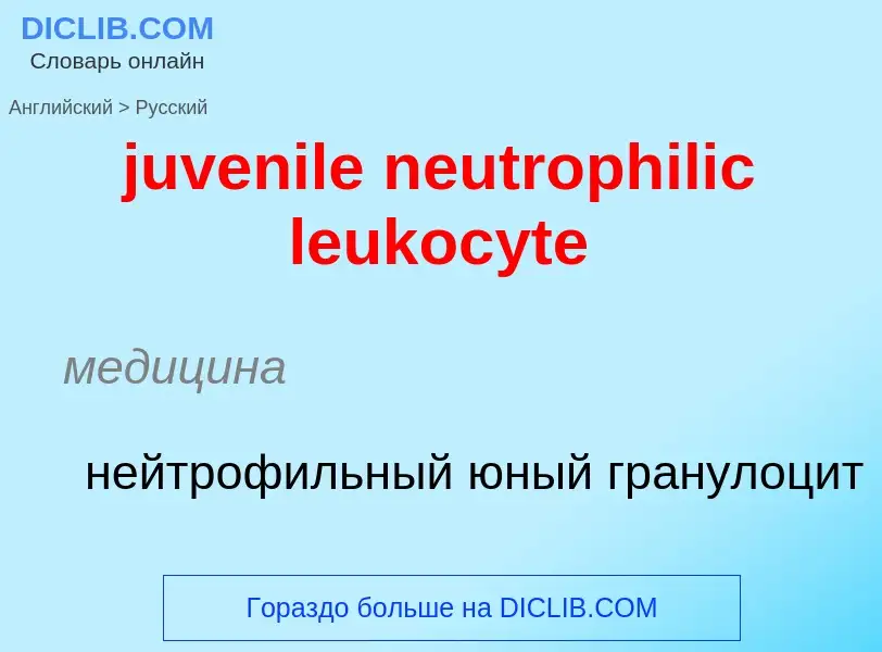 ¿Cómo se dice juvenile neutrophilic leukocyte en Ruso? Traducción de &#39juvenile neutrophilic leuko