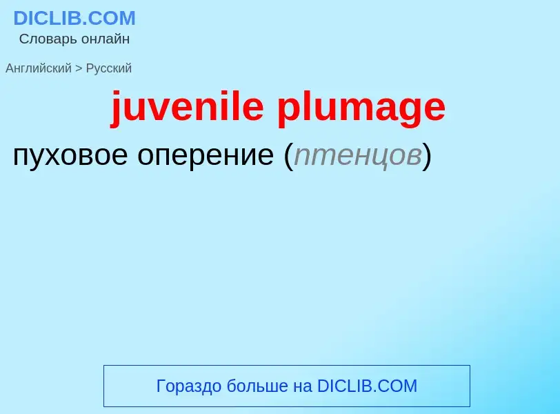 Μετάφραση του &#39juvenile plumage&#39 σε Ρωσικά