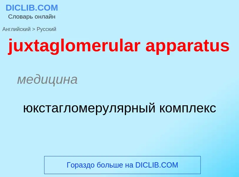 Μετάφραση του &#39juxtaglomerular apparatus&#39 σε Ρωσικά