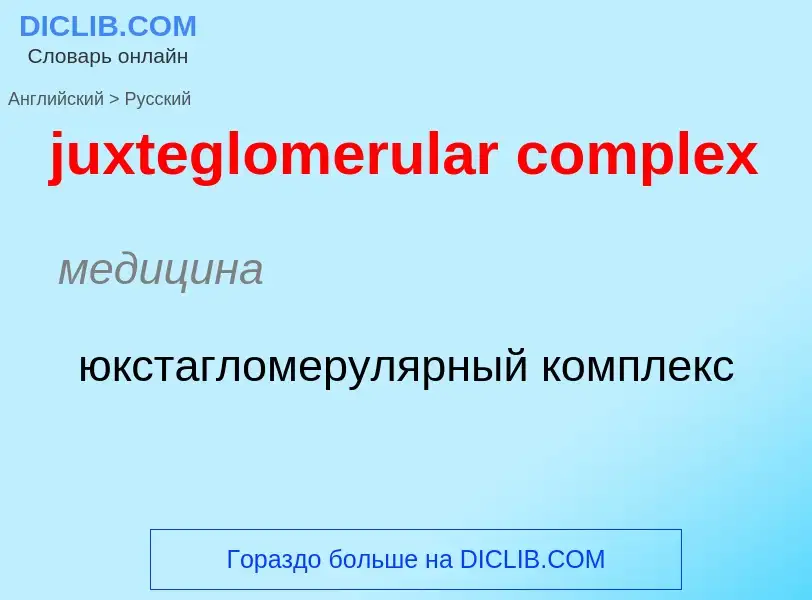 Как переводится juxteglomerular complex на Русский язык