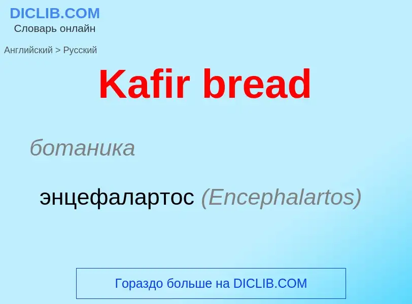 ¿Cómo se dice Kafir bread en Ruso? Traducción de &#39Kafir bread&#39 al Ruso