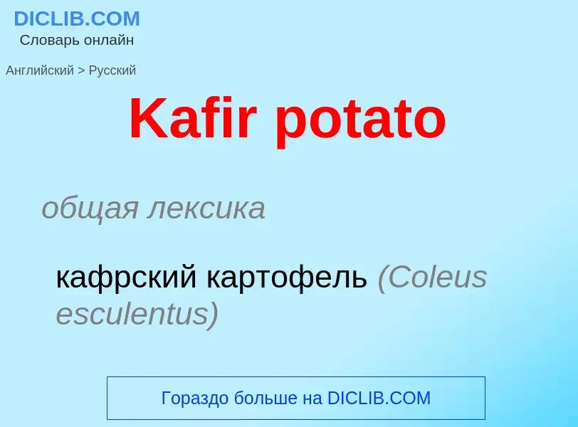 Μετάφραση του &#39Kafir potato&#39 σε Ρωσικά