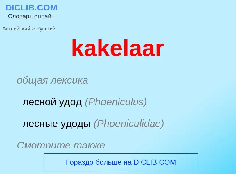 Как переводится kakelaar на Русский язык