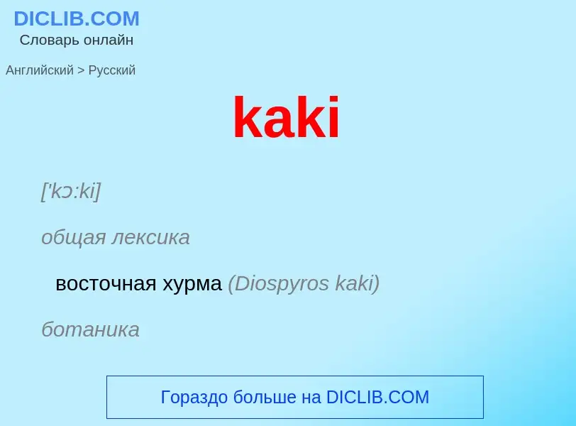 Как переводится kaki на Русский язык