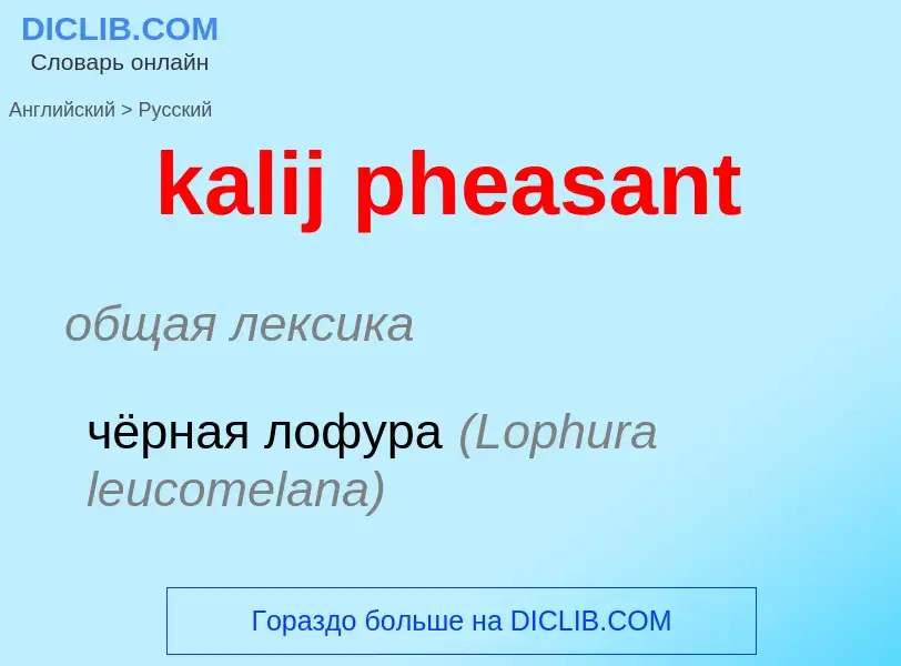 Как переводится kalij pheasant на Русский язык